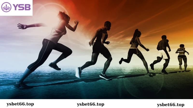 Sảnh cá cược Ysb66